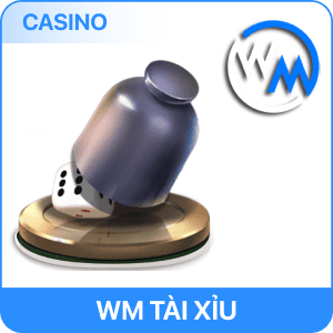 ảnh casino RR88